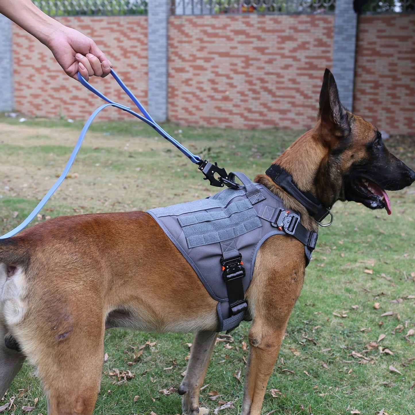 ICEFANG Tactical Dog Harness with 4X Metal Buckle,Working Dog MOLLE K9 Vest with Handle,No Pulling Front Clip,Adjustable Pet Harness for Meduim Dogs (M (25"-31" Chest), Grey)