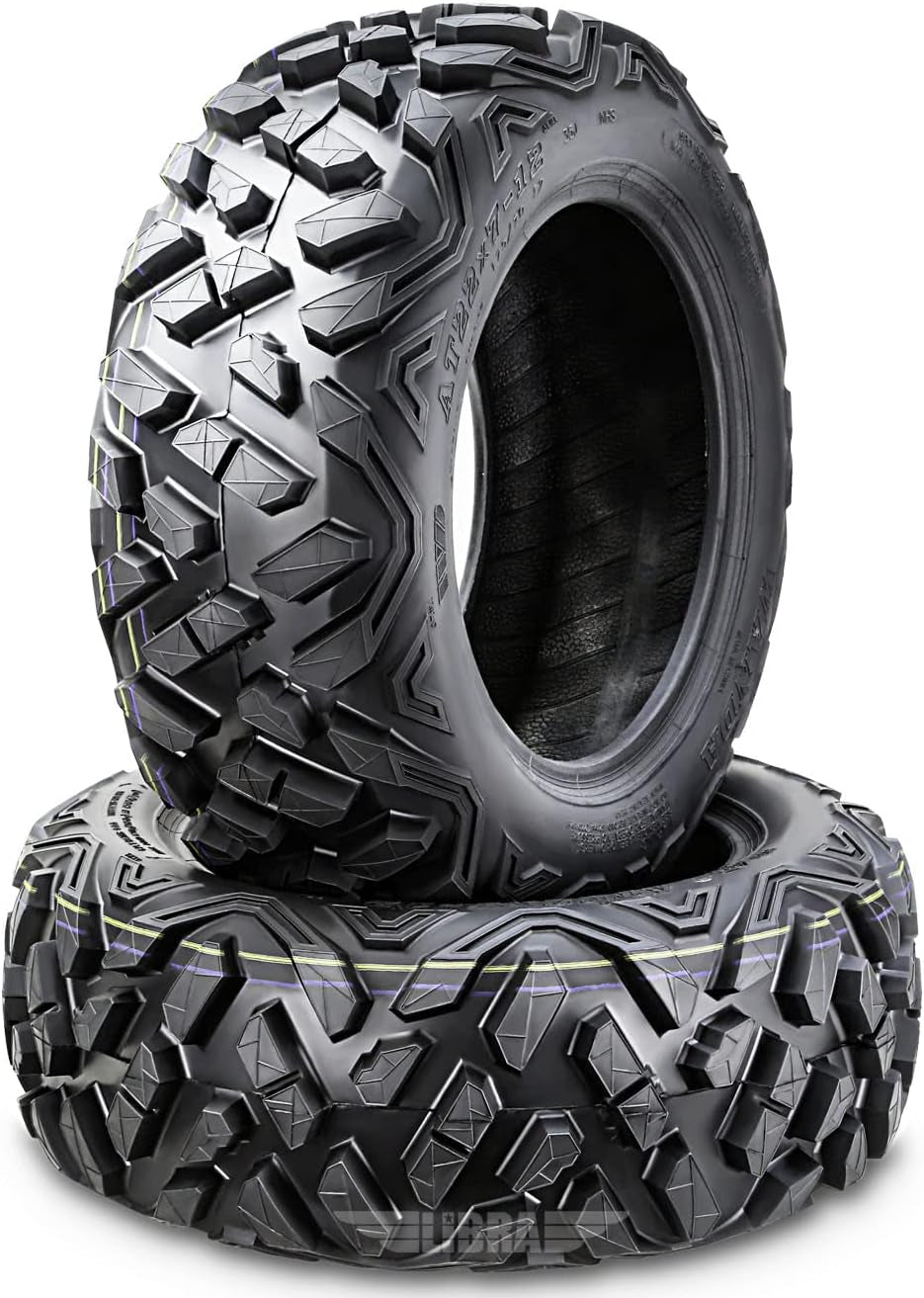 WANDA Set of 2 ATV Tires 22X10-10 22X10X10 6PR Big Horn Style
