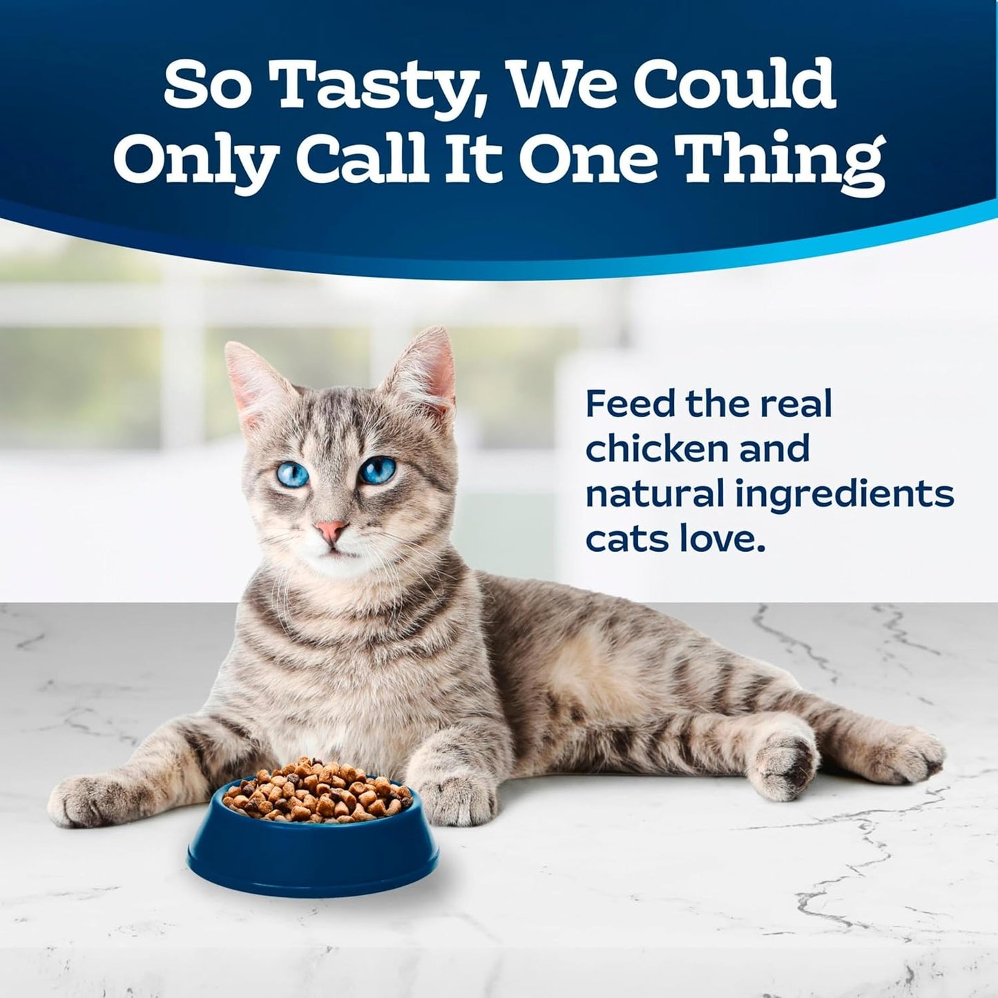 Blue Buffalo Tastefuls Natural Dry Food for Adult Indoor Cats, Chicken & Brown Rice Recipe, 15-Lb. Bag