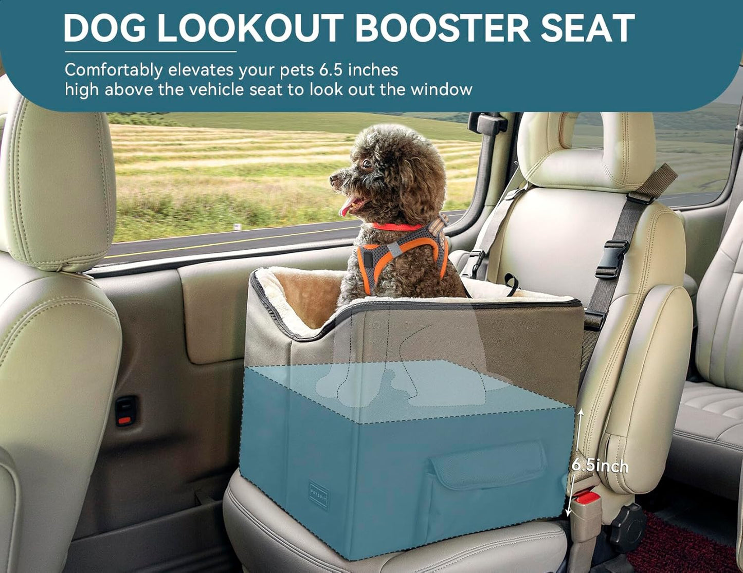 Petsfit Dog/Cat Booster Seat with Pockets, Small Dog Car Seat for Cars, Trucks and Suvs (Small, Dark Brown)