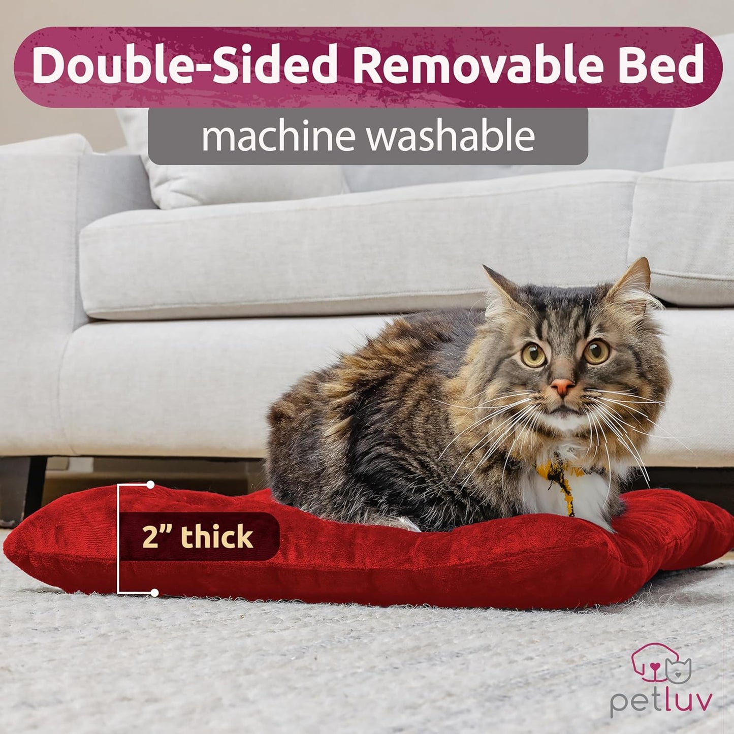 Soft-Sided Cat & Dog Pet Carrier, Large 24"X16"X16", Fits Large Cat, 2 Cats, or Medium Dog Comfortably, Great for Travel & Vet Visits, Privacy Windows, Removable Bed, Locking Zippers, Folds Flat