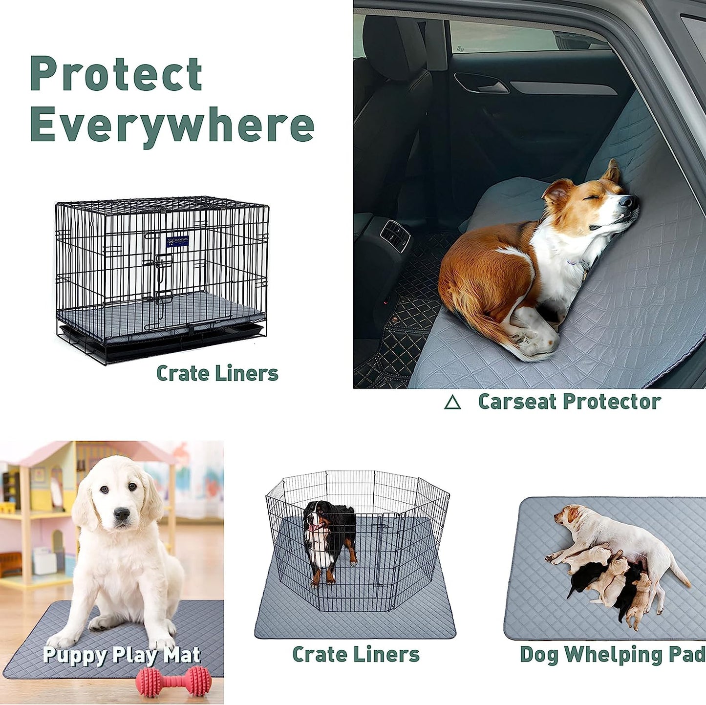Eterish Reusable Washable Pee Pads for Dogs Large/Extra Large 36'' X 41'' 2 Pack, Absorbent Pet Puppy Dog Training Pads Non-Slip, Waterproof Whelping Potty Pads for Dogs Leak-Proof