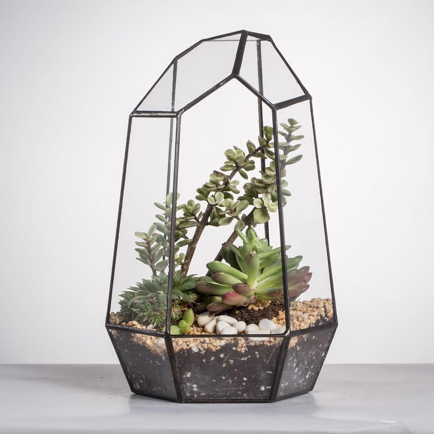 Stylish NCYP Geometric Glass Terrarium Planter for Succulents & Cacti - Irregular Black Open Container for Indoor Home & Office Decor, 6.5" X 5.7" X 9.8" (Plants Not Included)
