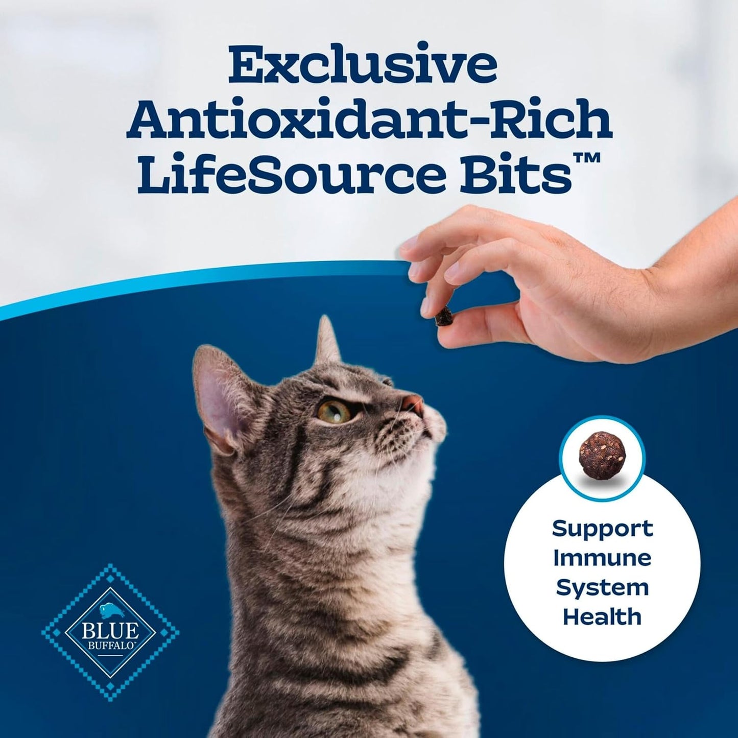 Blue Buffalo Tastefuls Natural Dry Food for Adult Indoor Cats, Chicken & Brown Rice Recipe, 15-Lb. Bag