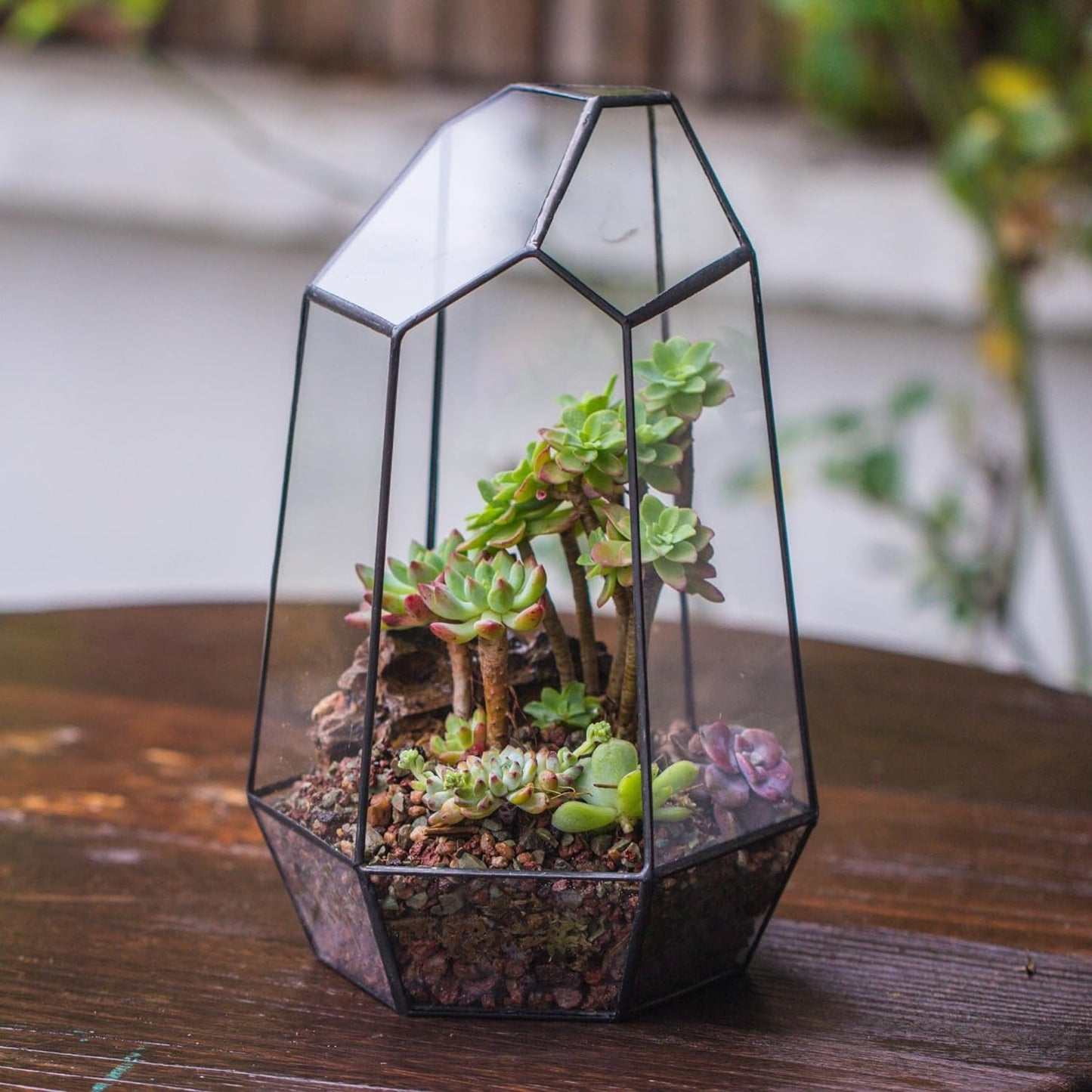 Stylish NCYP Geometric Glass Terrarium Planter for Succulents & Cacti - Irregular Black Open Container for Indoor Home & Office Decor, 6.5" X 5.7" X 9.8" (Plants Not Included)