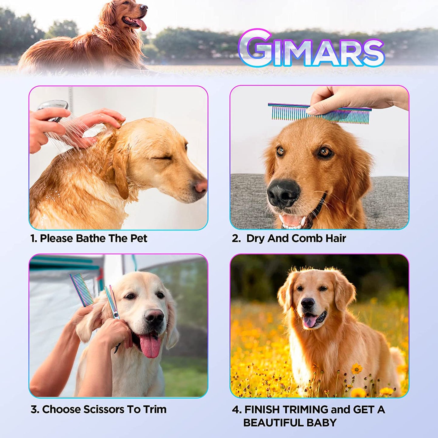 Gimars Professional 4CR Stainless Steel 6 in 1 Grooming Scissors for Dogs with Safety round Tip, Heavy Duty Titanium Coated Pet Grooming Scissor for Dogs, Cats and Other Animals