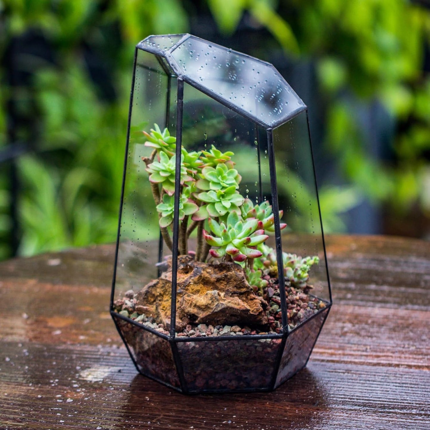 Stylish NCYP Geometric Glass Terrarium Planter for Succulents & Cacti - Irregular Black Open Container for Indoor Home & Office Decor, 6.5" X 5.7" X 9.8" (Plants Not Included)