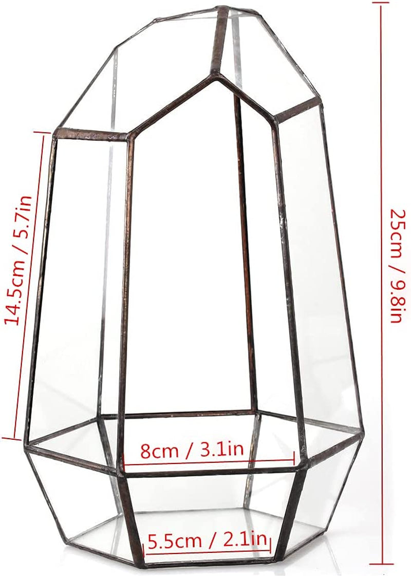 Stylish NCYP Geometric Glass Terrarium Planter for Succulents & Cacti - Irregular Black Open Container for Indoor Home & Office Decor, 6.5" X 5.7" X 9.8" (Plants Not Included)