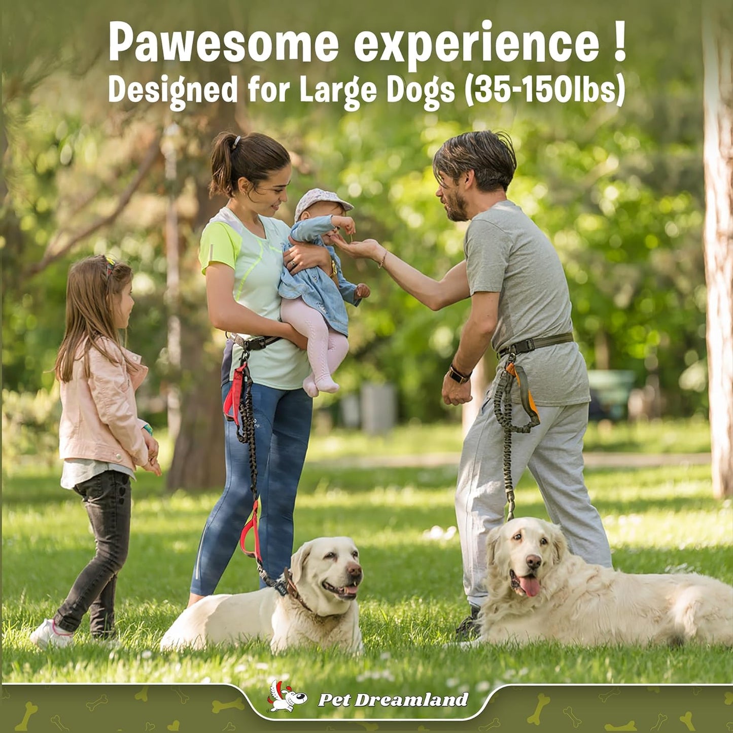 Pet Dreamland Exquisite Handsfree Dog Leash for Large Dogs. Ultimate Comfort & Freedom for Walking and Hiking. Premium Quality, Durable & Versatile Waist Belt. Your Dog Will Love This Running Leash.