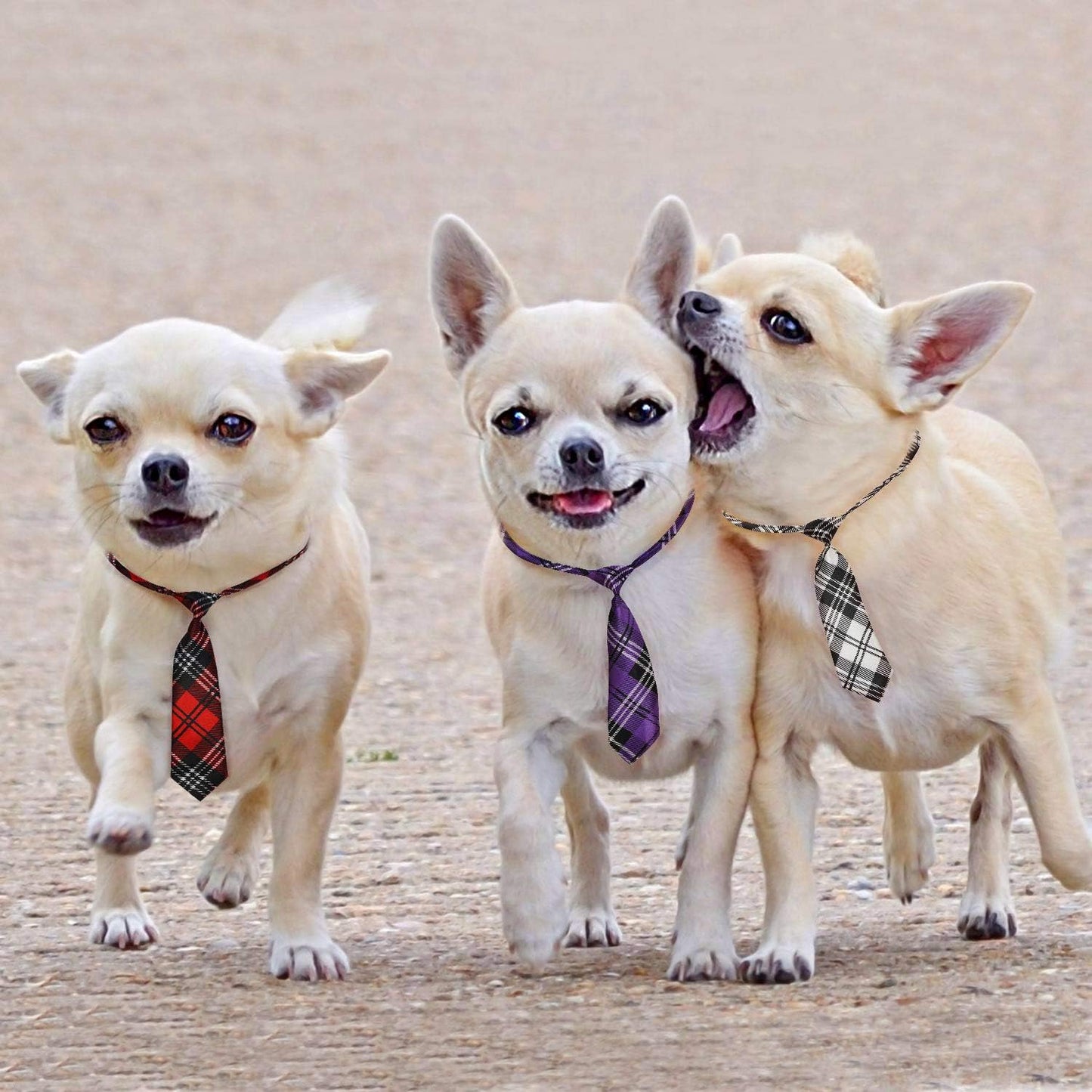 Segarty Dog Ties for Large Dogs, Pet Neck Tie, with Adjustable Collar, Bulk Bow Ties Bowties Necktie Grooming Accessories for Girl Boy Dog Valentines Holiday Birthday Wedding Cosplay Costumes