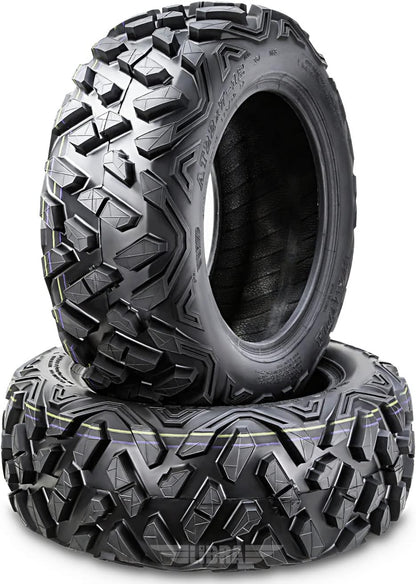 WANDA Set of 2 ATV Tires 22X10-10 22X10X10 6PR Big Horn Style