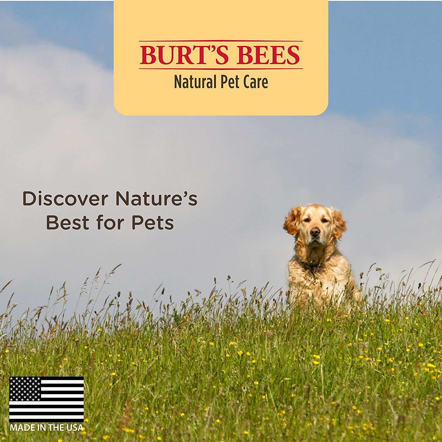 Burt'S Bees for Pets Multipurpose Dog Wipes with Honey, 98% Natural Origin Formulas, Hypoallergenic Dogs Wipe, Canine Cleaning Sheets for Paws and Butt, 3 Pk, 50Ct