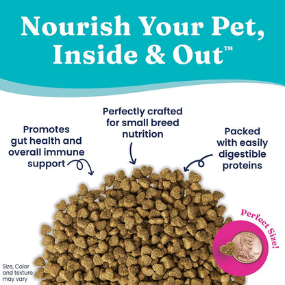 Solid Gold Toy & Small Breed Dry Dog Food Small Bites – Real Beef, Grain Free, Gluten Free, High Fiber Kibble with Probiotics for Gut Health & Digestion Support – Healthy Dog Food All Ages – 4LB