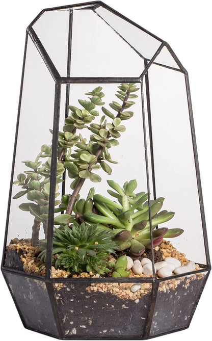 Stylish NCYP Geometric Glass Terrarium Planter for Succulents & Cacti - Irregular Black Open Container for Indoor Home & Office Decor, 6.5" X 5.7" X 9.8" (Plants Not Included)