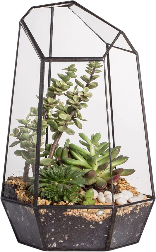 Stylish NCYP Geometric Glass Terrarium Planter for Succulents & Cacti - Irregular Black Open Container for Indoor Home & Office Decor, 6.5" X 5.7" X 9.8" (Plants Not Included)