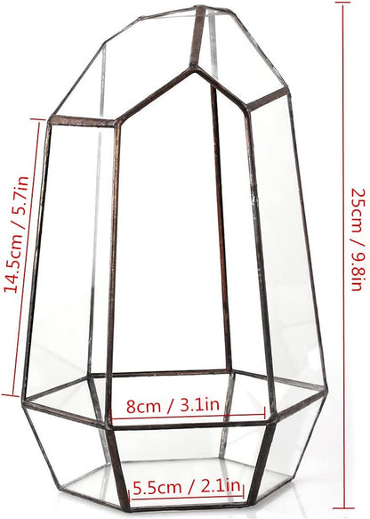 Stylish NCYP Geometric Glass Terrarium Planter for Succulents & Cacti - Irregular Black Open Container for Indoor Home & Office Decor, 6.5" X 5.7" X 9.8" (Plants Not Included)