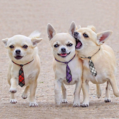Segarty Dog Ties for Large Dogs, Pet Neck Tie, with Adjustable Collar, Bulk Bow Ties Bowties Necktie Grooming Accessories for Girl Boy Dog Valentines Holiday Birthday Wedding Cosplay Costumes